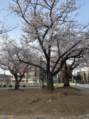 IMG_0628.jpeg
