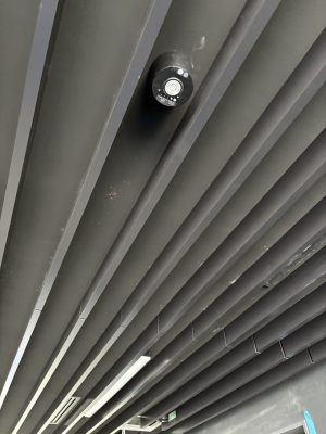 IMG_0652.jpeg