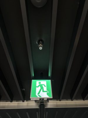 IMG_0685.jpeg