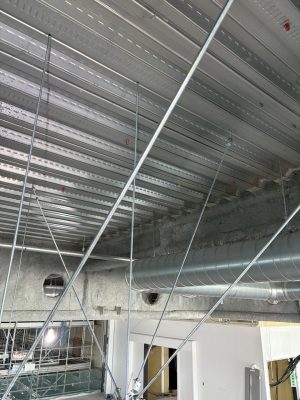 IMG_0735.jpeg