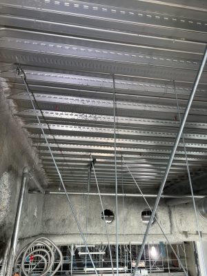 IMG_0736.jpeg